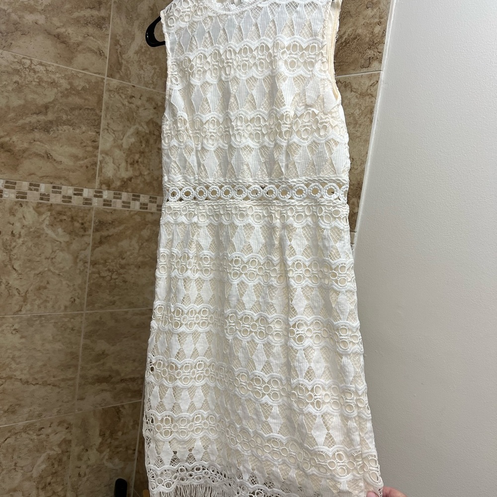 Lulus Fringe Dress.